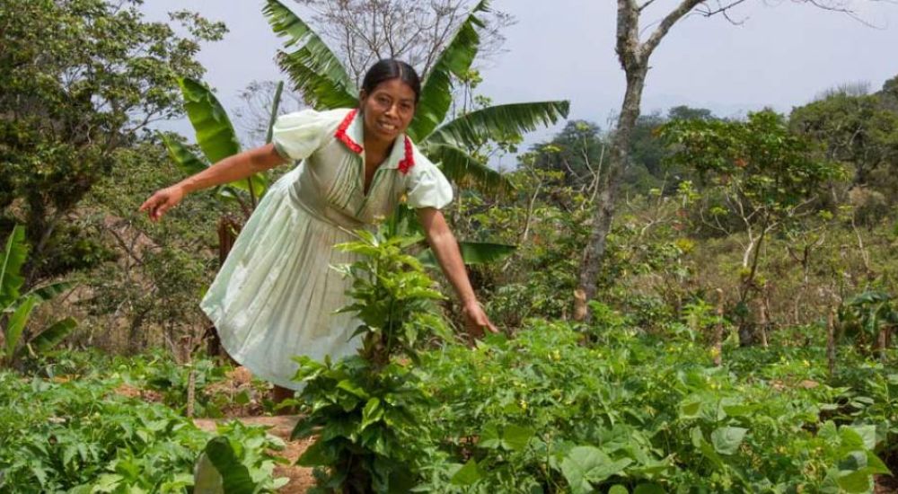 Los grupos neopentecostales anti-derechos en Guatemala